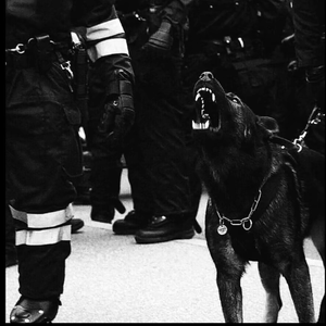 日本人做爰大片免费观看一饺子
