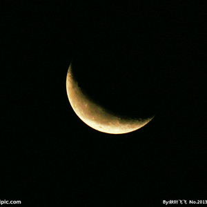 日本人做爰大片免费观看一饺子
